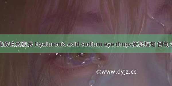 玻璃酸钠滴眼液 Hyaluronic acid sodium eye drops英语短句 例句大全