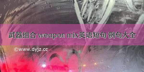 武器组合 weapon mix英语短句 例句大全