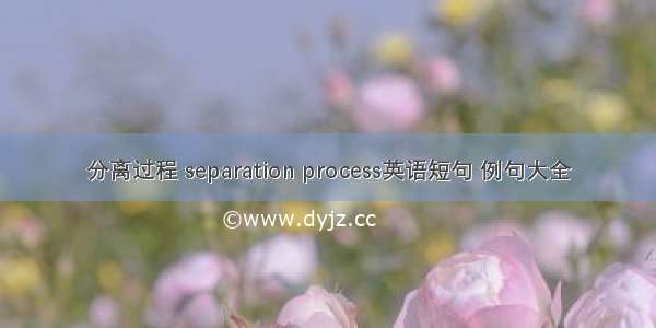 分离过程 separation process英语短句 例句大全