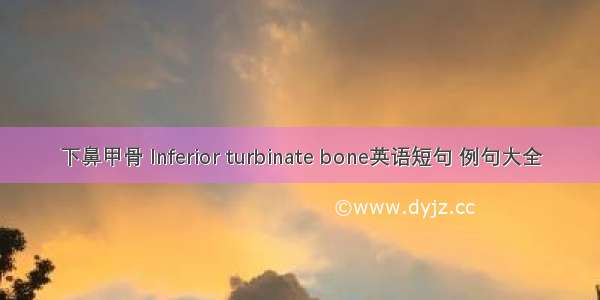 下鼻甲骨 Inferior turbinate bone英语短句 例句大全