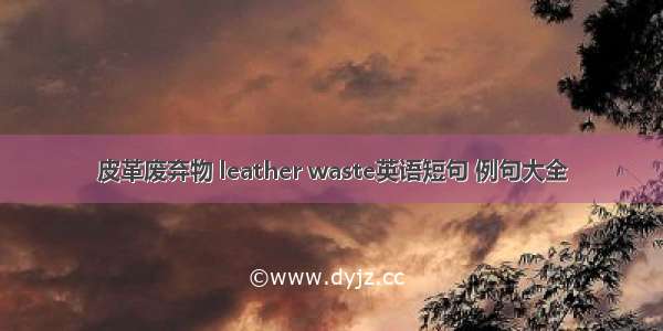 皮革废弃物 leather waste英语短句 例句大全