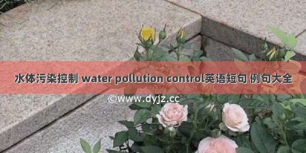 水体污染控制 water pollution control英语短句 例句大全