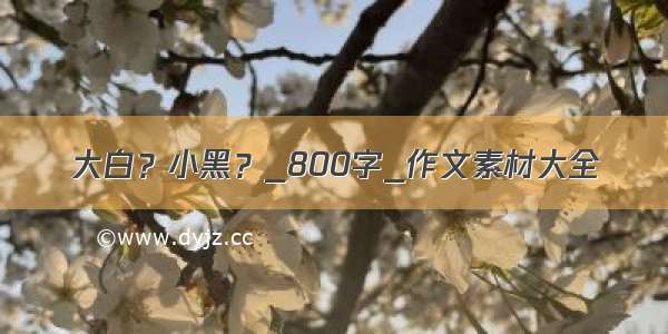 大白？小黑？_800字_作文素材大全