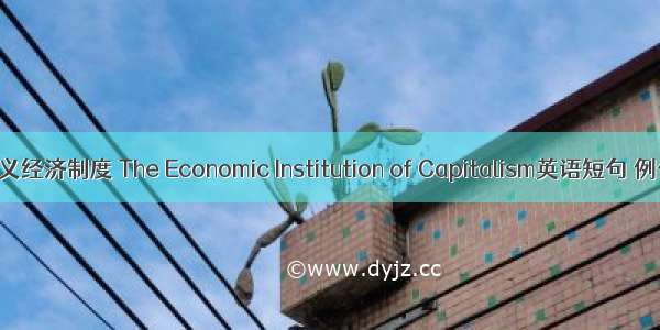 资本主义经济制度 The Economic Institution of Capitalism英语短句 例句大全