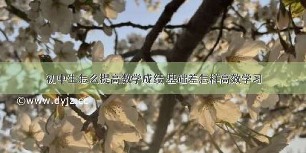 初中生怎么提高数学成绩 基础差怎样高效学习