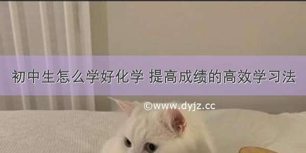 初中生怎么学好化学 提高成绩的高效学习法