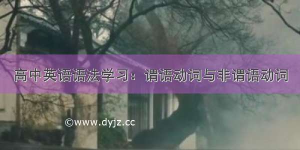 高中英语语法学习：谓语动词与非谓语动词