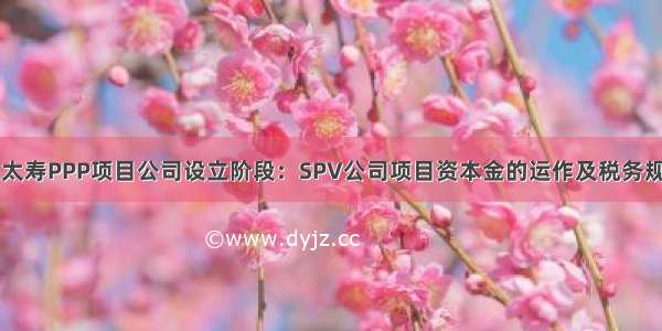 肖太寿PPP项目公司设立阶段：SPV公司项目资本金的运作及税务规划