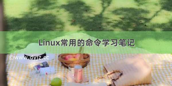 Linux常用的命令学习笔记