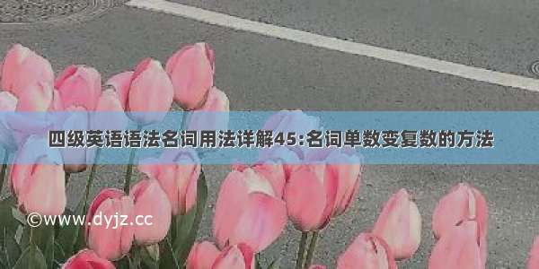 四级英语语法名词用法详解45:名词单数变复数的方法