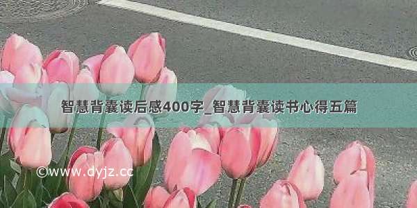 智慧背囊读后感400字_智慧背囊读书心得五篇