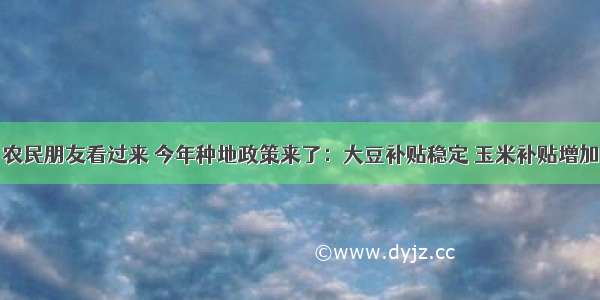 农民朋友看过来 今年种地政策来了：大豆补贴稳定 玉米补贴增加