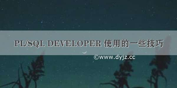 PL/SQL DEVELOPER 使用的一些技巧