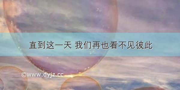 直到这一天 我们再也看不见彼此