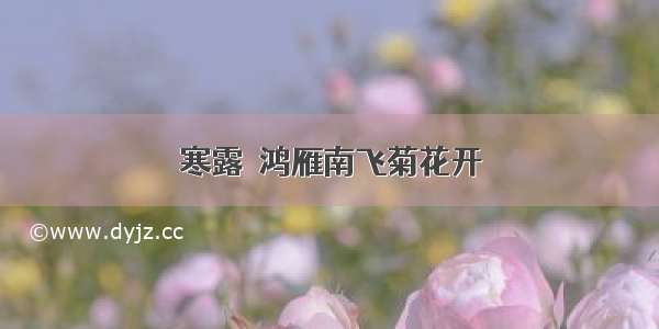 寒露｜鸿雁南飞菊花开