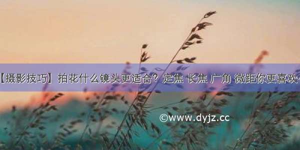 【摄影技巧】拍花什么镜头更适合？定焦 长焦 广角 微距你更喜欢……