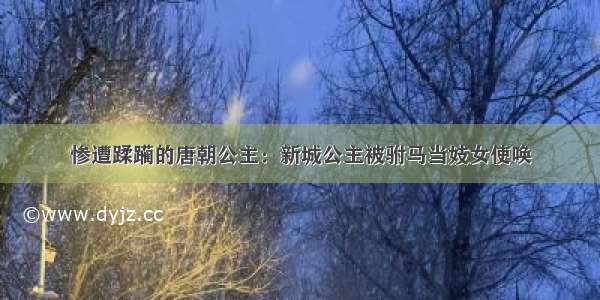 惨遭蹂躏的唐朝公主：新城公主被驸马当妓女使唤