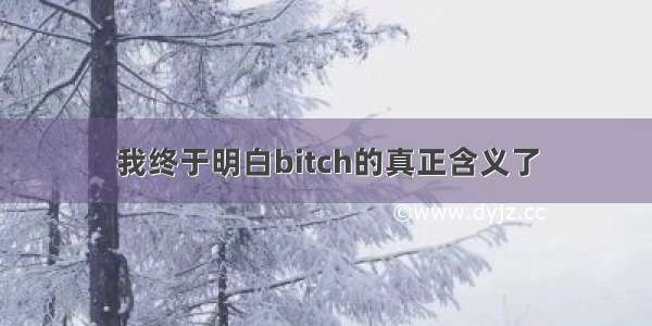 我终于明白bitch的真正含义了