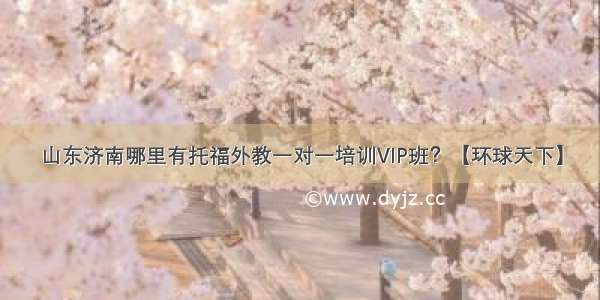 山东济南哪里有托福外教一对一培训VIP班？【环球天下】