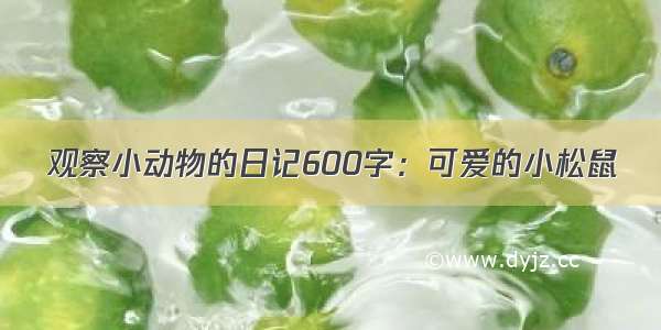 观察小动物的日记600字：可爱的小松鼠