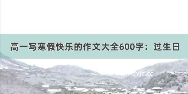 高一写寒假快乐的作文大全600字：过生日