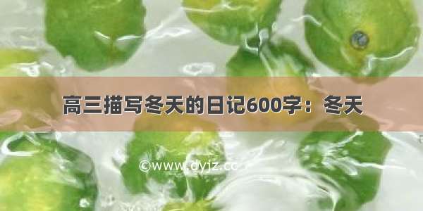 高三描写冬天的日记600字：冬天