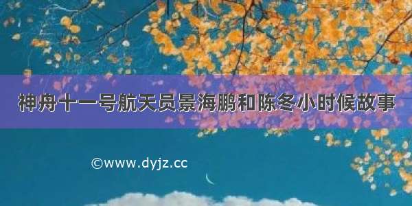 神舟十一号航天员景海鹏和陈冬小时候故事