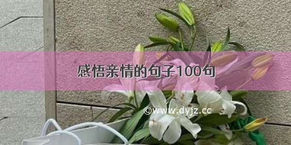 感悟亲情的句子100句