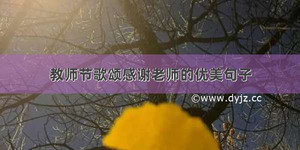 教师节歌颂感谢老师的优美句子