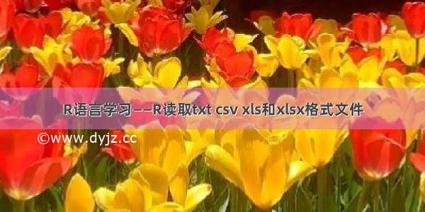 R语言学习——R读取txt csv xls和xlsx格式文件