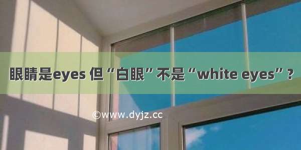 眼睛是eyes 但“白眼”不是“white eyes”？