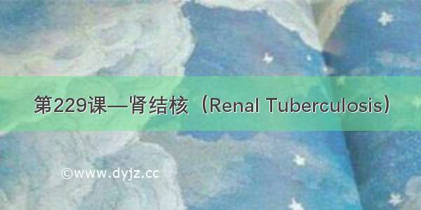 第229课—肾结核（Renal Tuberculosis）