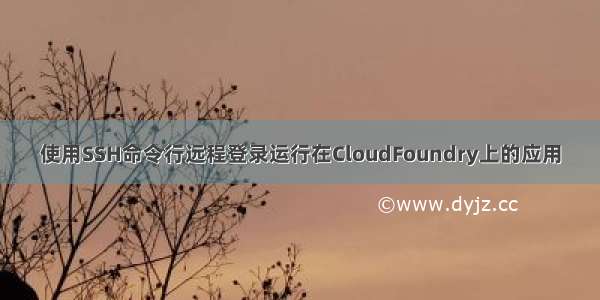 使用SSH命令行远程登录运行在CloudFoundry上的应用