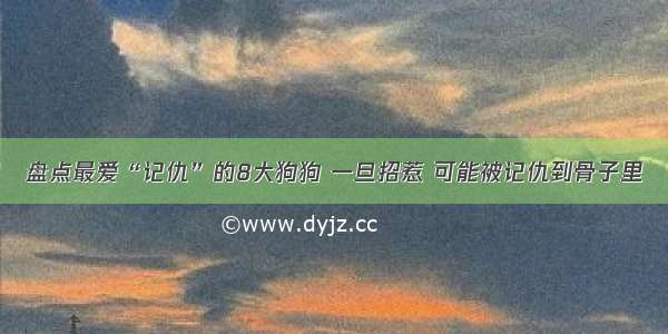 盘点最爱“记仇”的8大狗狗 一旦招惹 可能被记仇到骨子里