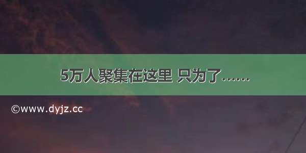 5万人聚集在这里 只为了……