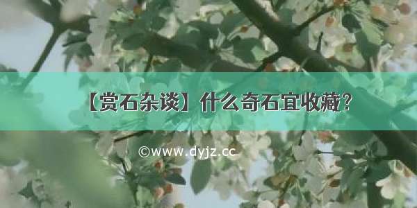 【赏石杂谈】什么奇石宜收藏？