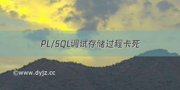 PL/SQL调试存储过程卡死