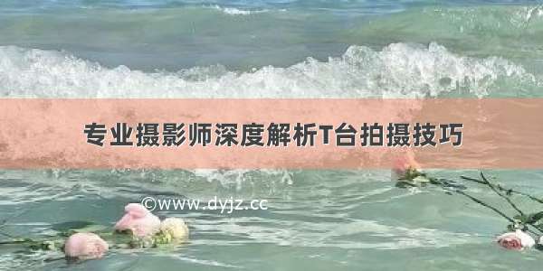 专业摄影师深度解析T台拍摄技巧