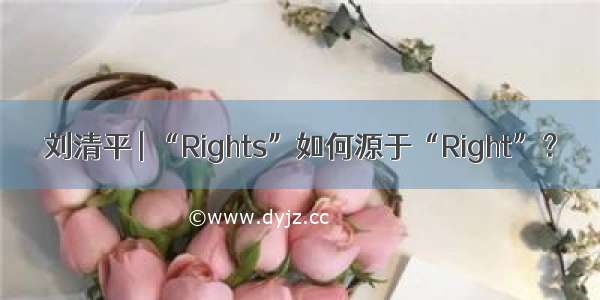 刘清平 | “Rights”如何源于“Right”？
