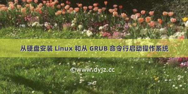 从硬盘安装 Linux 和从 GRUB 命令行启动操作系统