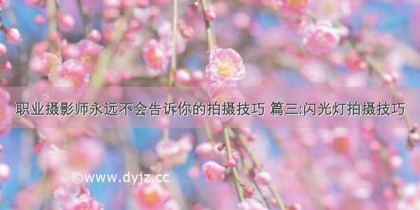 职业摄影师永远不会告诉你的拍摄技巧 篇三:闪光灯拍摄技巧