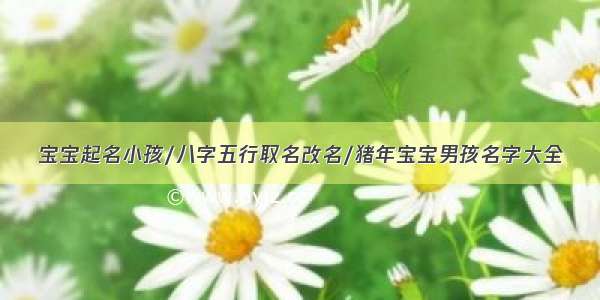 宝宝起名小孩/八字五行取名改名/猪年宝宝男孩名字大全