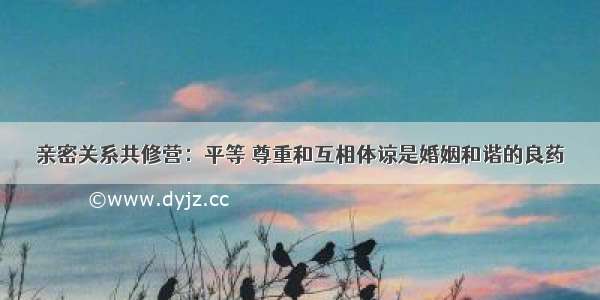 亲密关系共修营：平等 尊重和互相体谅是婚姻和谐的良药