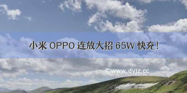 小米 OPPO 连放大招 65W 快充！