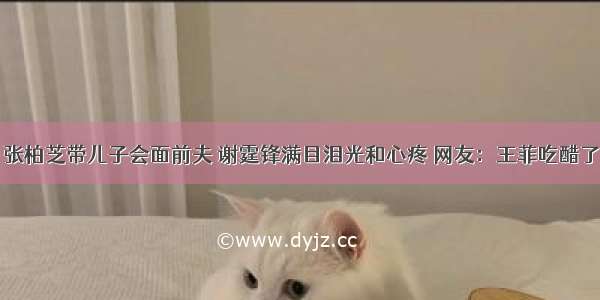 张柏芝带儿子会面前夫 谢霆锋满目泪光和心疼 网友：王菲吃醋了