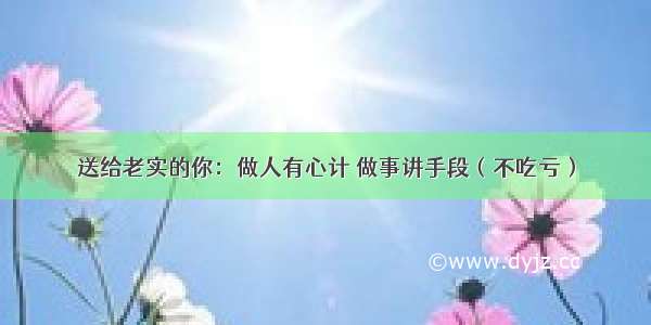 送给老实的你：做人有心计 做事讲手段（不吃亏）