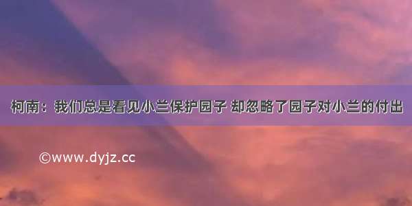 柯南：我们总是看见小兰保护园子 却忽略了园子对小兰的付出