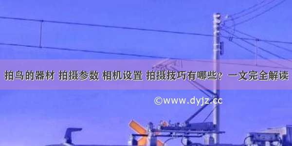 拍鸟的器材 拍摄参数 相机设置 拍摄技巧有哪些？一文完全解读