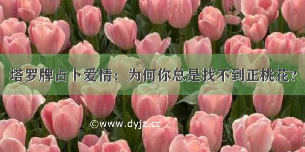 塔罗牌占卜爱情：为何你总是找不到正桃花？