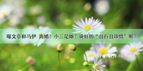 曝文章和马伊琍离婚！小三是她？说好的“且行且珍惜”呢？